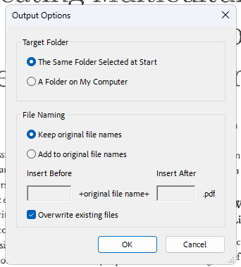 Output Options dialog