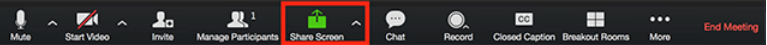 Share Screen button in Zoom toolbar